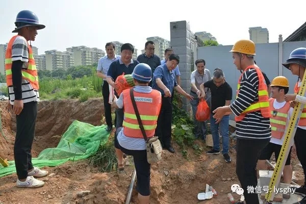 1532656259606748.jpg 640.webp (1).jpg