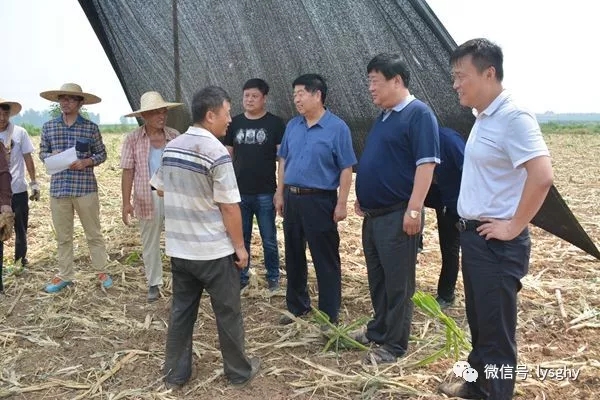 1532656412932756.jpg 640.webp (5).jpg