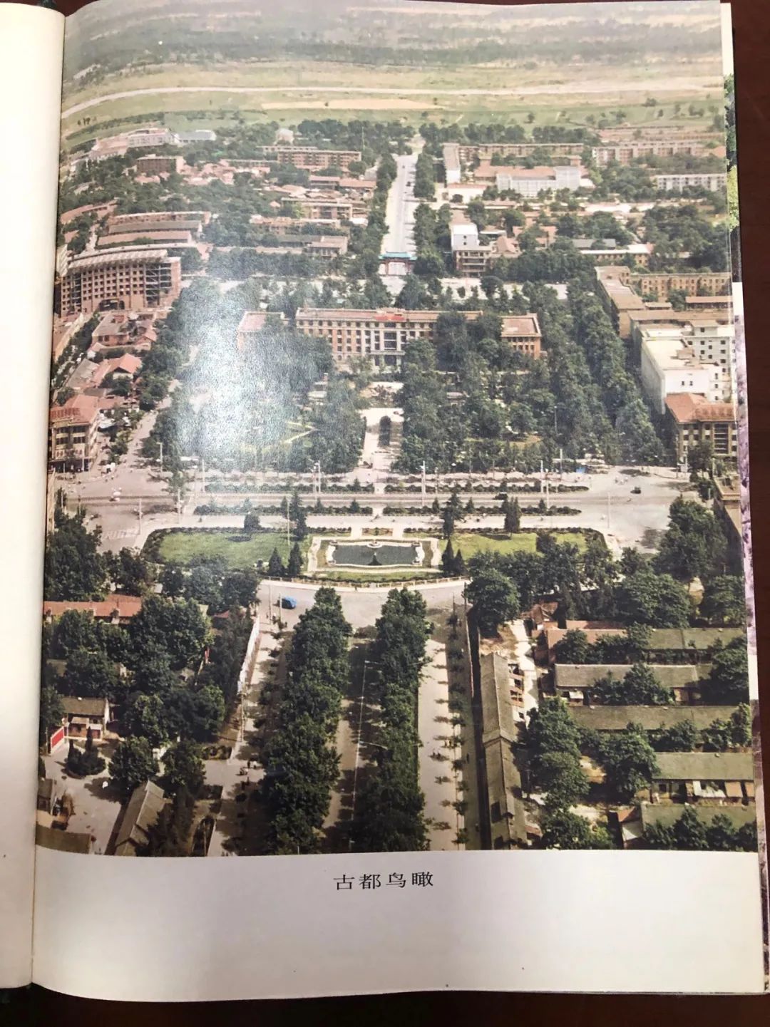 1646204385912359.jpg 1646204385912359.jpg